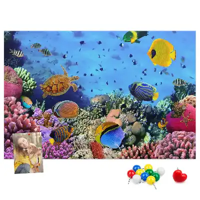 Underwater Life Cork Memo Board