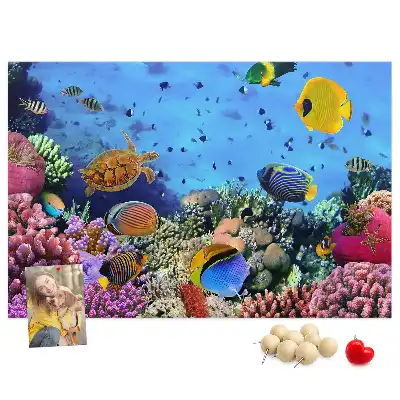 Cork memo board Underwater life