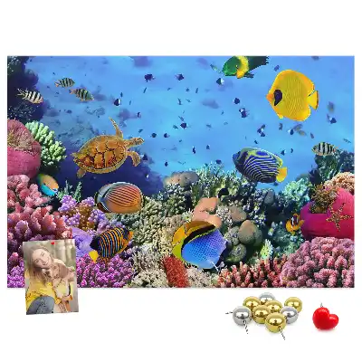 Cork memo board Underwater life