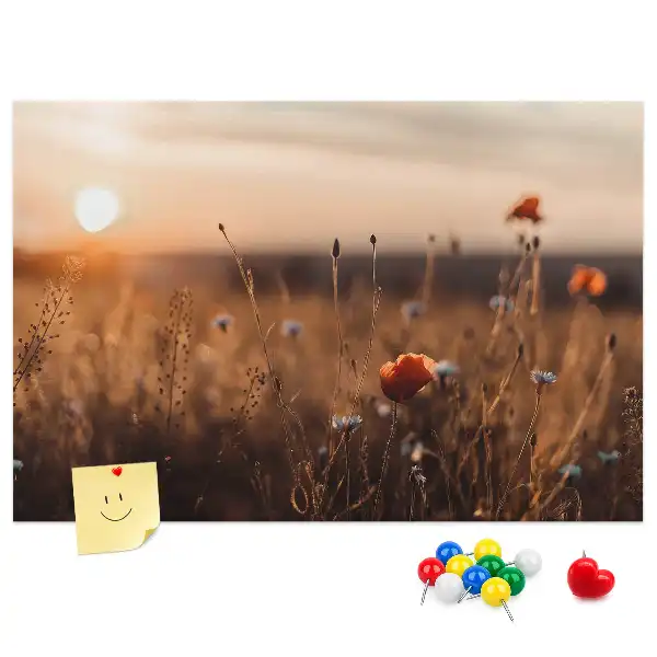 Sunrise Printed Cork Board