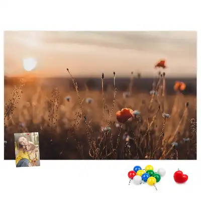 Printed Cork Board Field sunrise