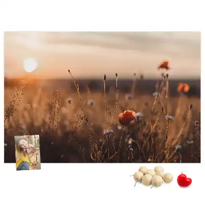 Printed Cork Board Field sunrise