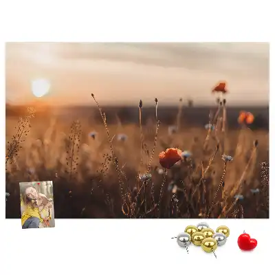 Printed Cork Board Field sunrise