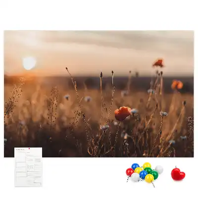 Sunrise Printed Cork Board