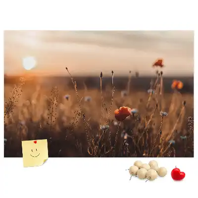 Printed Cork Board Field sunrise