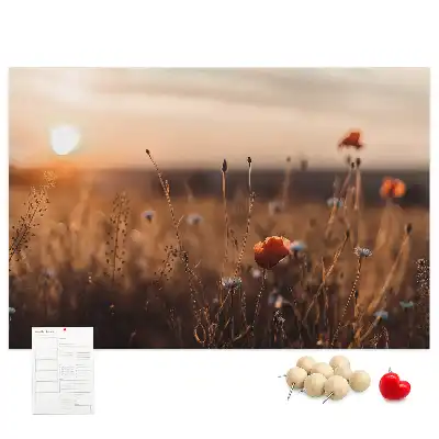 Sunrise Printed Cork Board