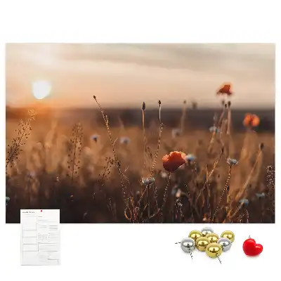 Sunrise Printed Cork Board