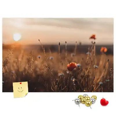 Printed Cork Board Field sunrise