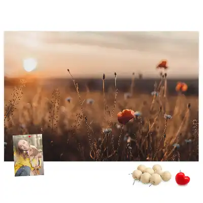 Sunrise Printed Cork Board