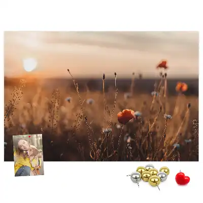 Sunrise Printed Cork Board