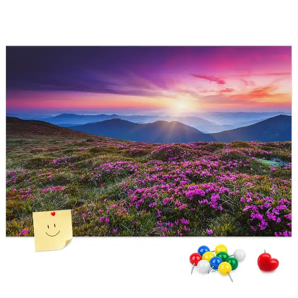 Sunrise flowers cork memo board