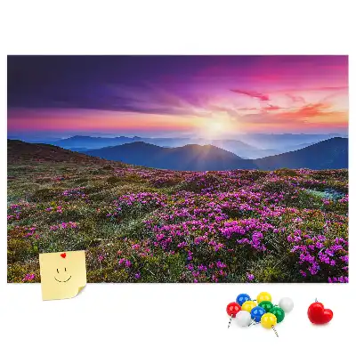 Sunrise flowers cork memo board