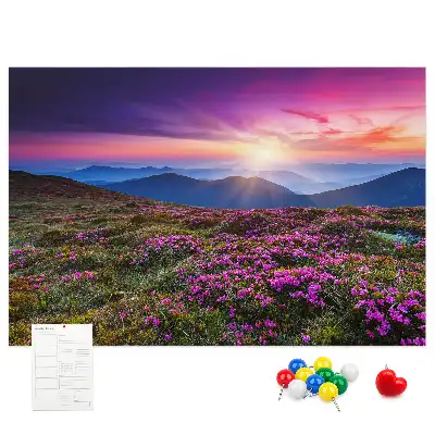 Sunrise flowers cork memo board