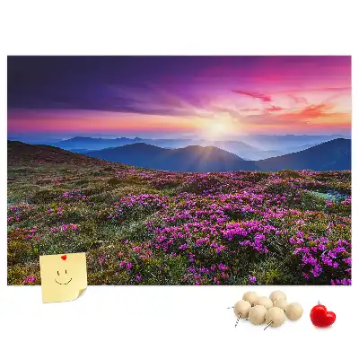 Sunrise flowers cork memo board