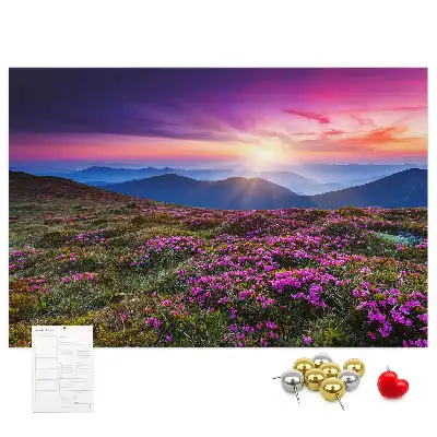 Sunrise flowers cork memo board
