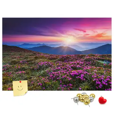 Sunrise flowers cork memo board