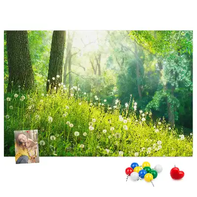Printed Spring Nature Cork Memo Board