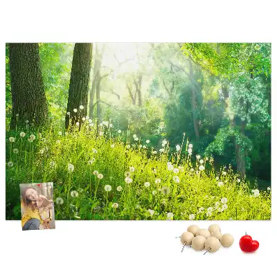 Printed Cork Memo Board Spring nature