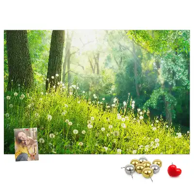 Printed Cork Memo Board Spring nature