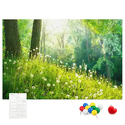 Printed Cork Memo Board Spring nature