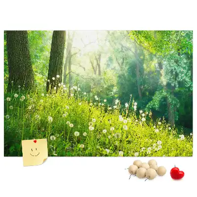Printed Spring Nature Cork Memo Board
