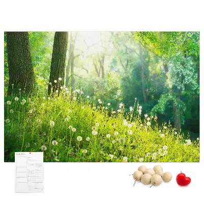 Printed Spring Nature Cork Memo Board