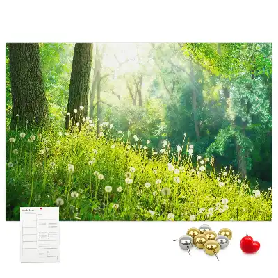 Printed Spring Nature Cork Memo Board