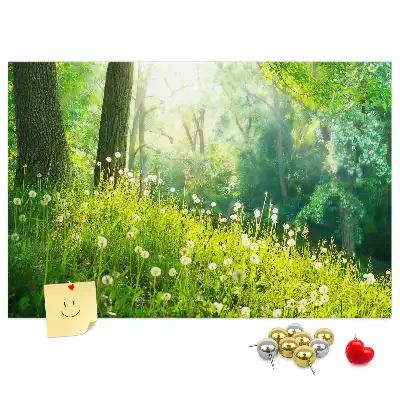 Printed Spring Nature Cork Memo Board