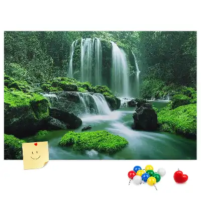 Cork memo board Waterfall among moss