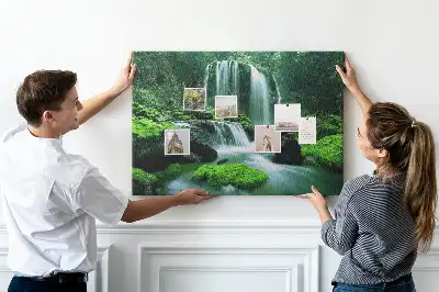 Cork memo board Waterfall among moss