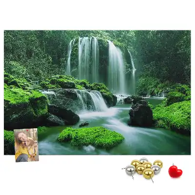 Cork memo board Waterfall among moss
