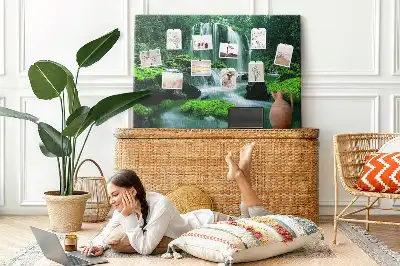 Cork memo board Waterfall among moss