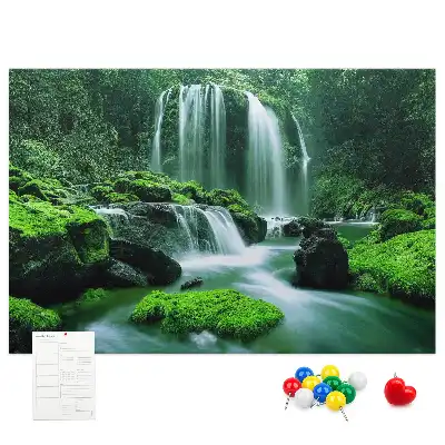 Cork memo board Waterfall among moss