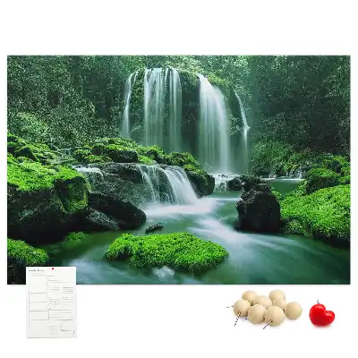 Cork memo board Waterfall among moss