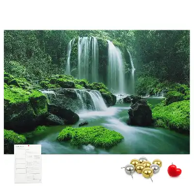 Cork memo board Waterfall among moss