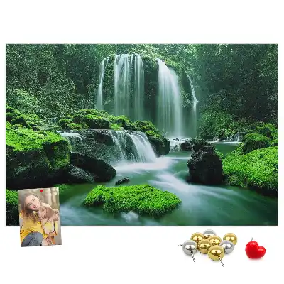 Cork memo board Waterfall among moss
