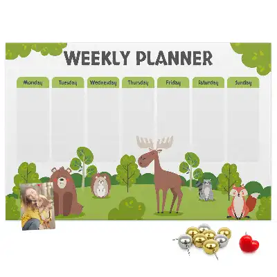 Printed Cork Lesson Plan Memo Board