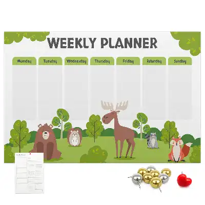 Printed Cork Lesson Plan Memo Board