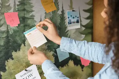 Cork memo board Forest landscape