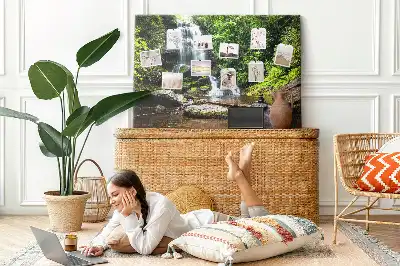Cork memo board Waterfall forest