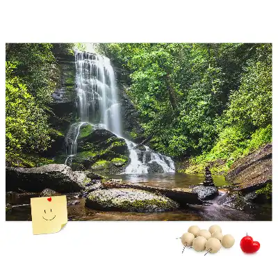 Cork memo board Waterfall forest