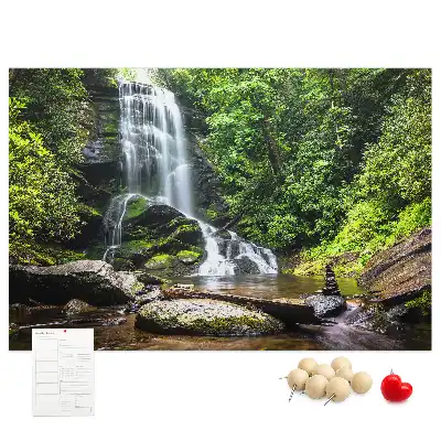 Cork memo board Waterfall forest