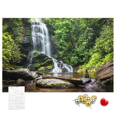 Cork memo board Waterfall forest