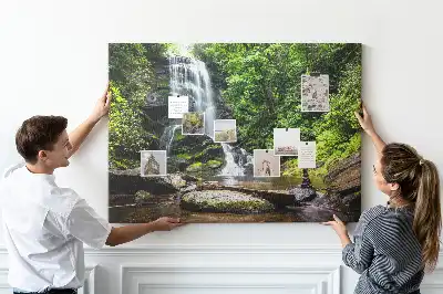 Cork memo board Waterfall forest