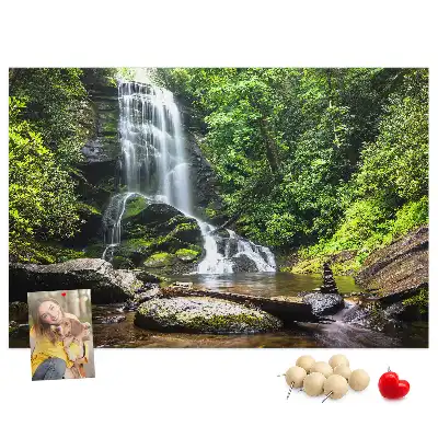 Cork memo board Waterfall forest