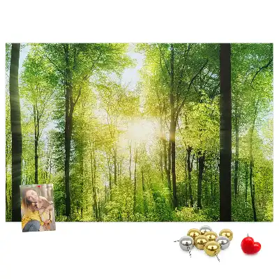 Printed Cork Board Nature forest trees