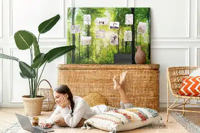 Printed Cork Board Nature forest trees