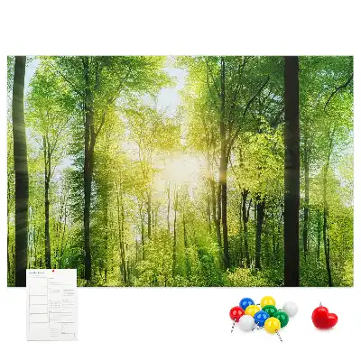 Printed Cork Board Nature forest trees