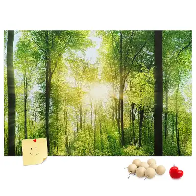 Nature Forest Trees Printed Cork Board