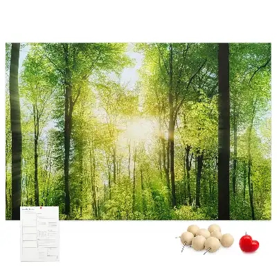 Printed Cork Board Nature forest trees
